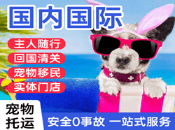 黑河机场邮寄国际宠物托运 【国